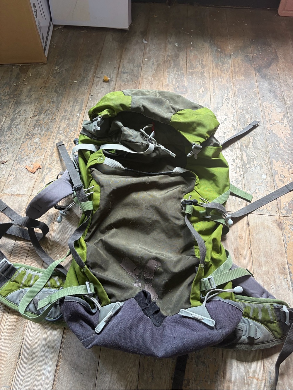 Osprey mutant 38L